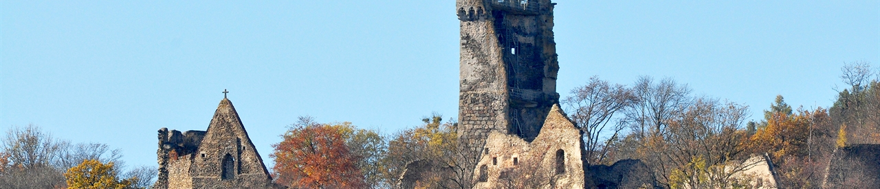 Ruine Schaunberg im Herbst